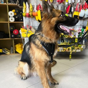 Шлейка из черной кожи для немецкой овчарки «Working Dog»